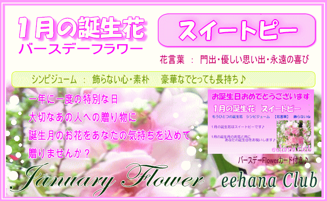 flower04