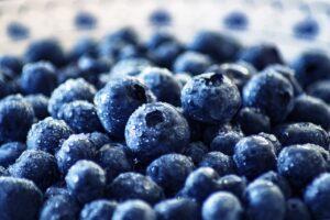 blueberries, fruit, healthy-3460423.jpg