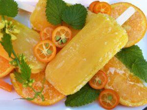 ice cream, fruit ice cream, orange-2305178.jpg